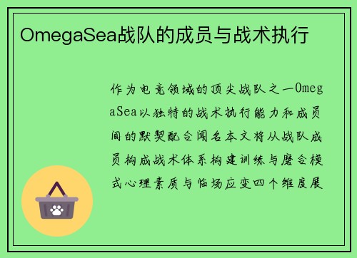 OmegaSea战队的成员与战术执行