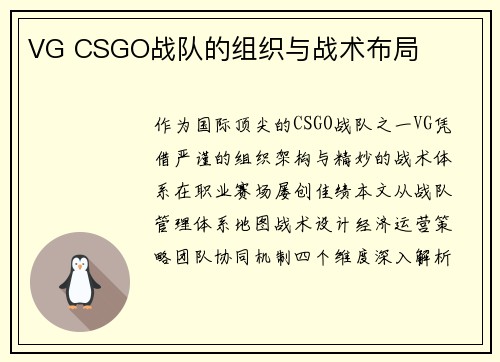 VG CSGO战队的组织与战术布局
