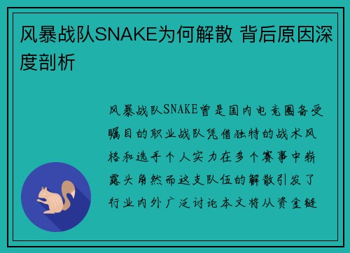 风暴战队SNAKE为何解散 背后原因深度剖析
